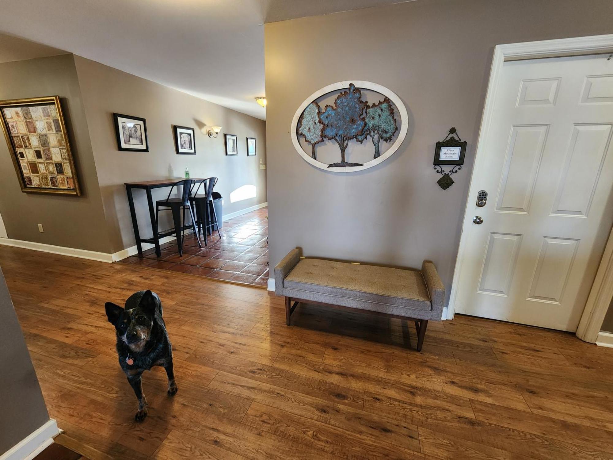 Elder Mountain Room At Tennessee Riverplace Chattanooga Extérieur photo